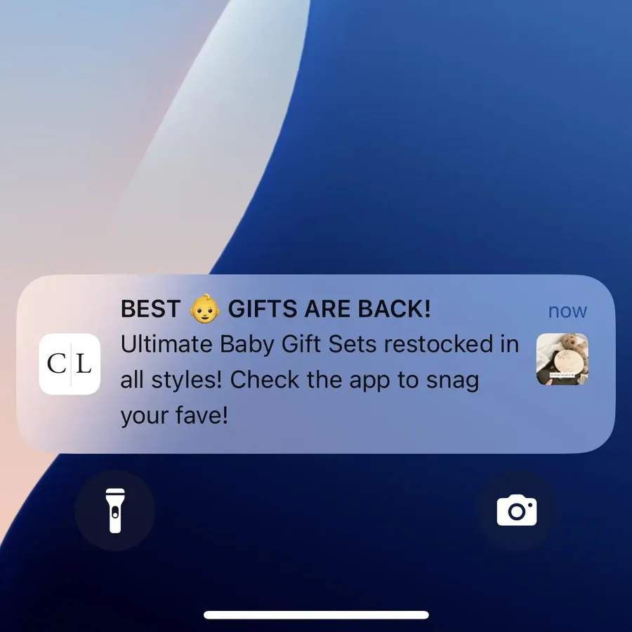 Caden Lane push notification: GIFTS ARE BACK! BEST. Ultimate Baby Gift Sets restocked in all styles! Check the app to snag your favel