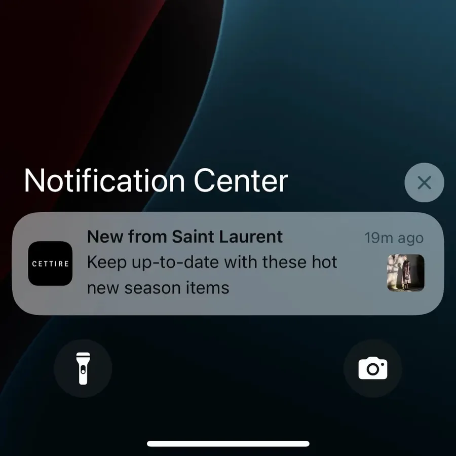 Cettire push notification: New from Saint Laurent. Keep up-to-date with these hot new season items