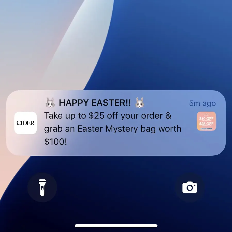 Cider push notification: & HAPPY EASTER!!. Take up to $25 off your order & grab an Easter Mystery bag worth $100!