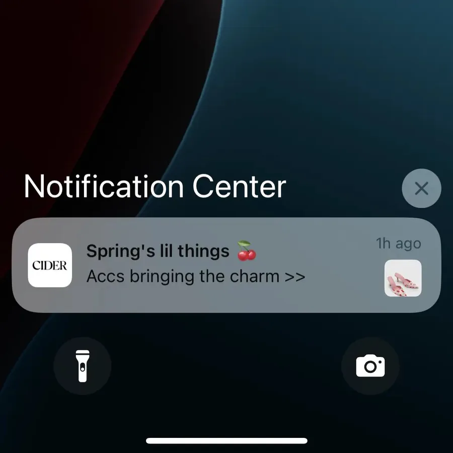 Cider push notification: Spring's lil things. Accs bringing the charm >>