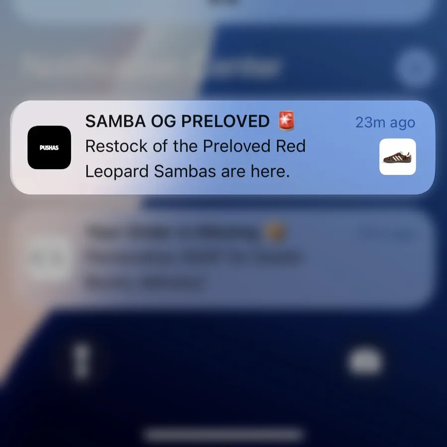 Pushas push notification: SAMBA OG PRELOVED. Restock of the Preloved Red Leopard Sambas are here.