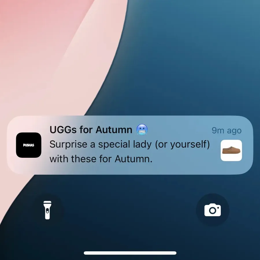 Pushas push notification: UGGs for Autumn. Surprise a special lady (or yourself with these for Autumn.