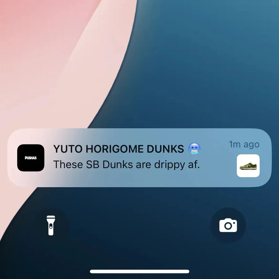 Pushas push notification: YUTO HORIGOME DUNKS. These SB Dunks are drippy af.