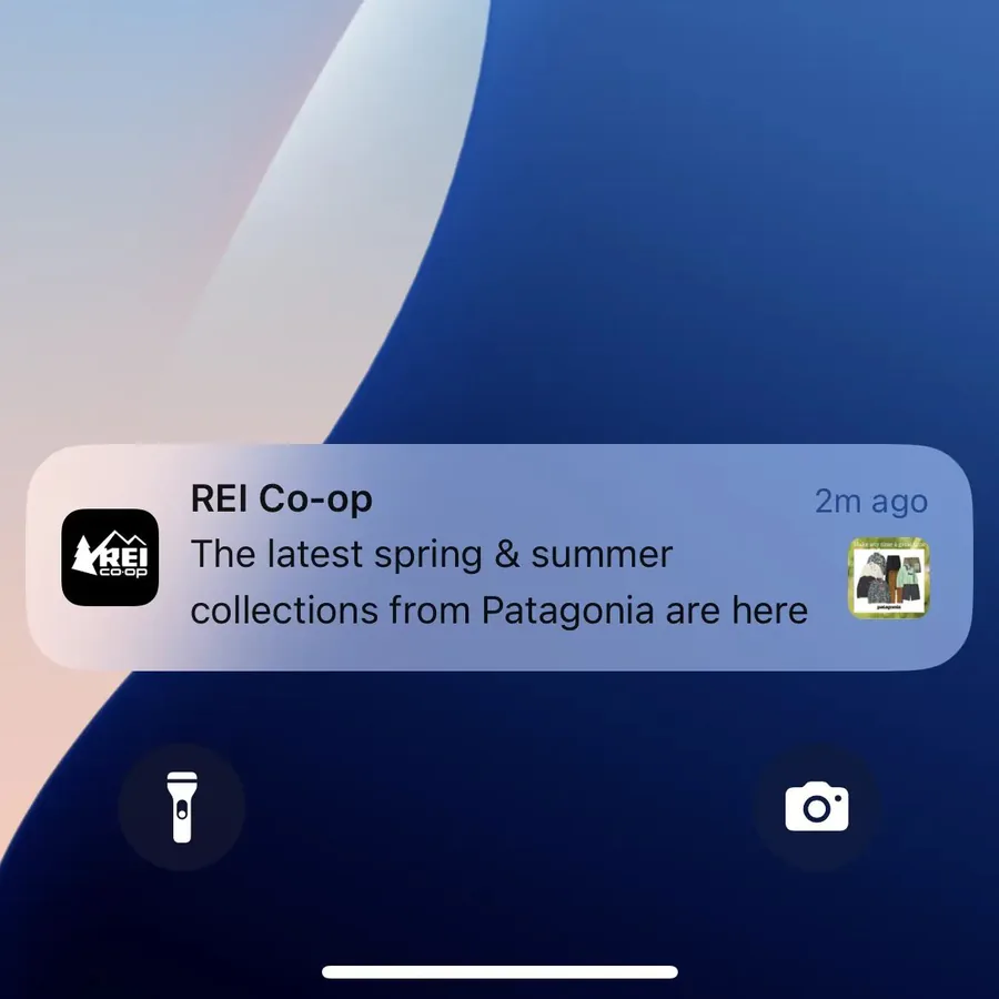 REI Co-op push notification: REI Co-op. The latest spring & summer collections from Patagonia are here