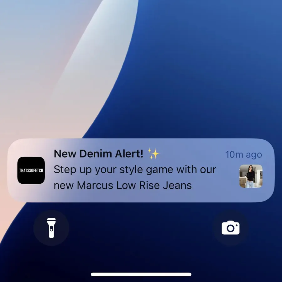 That's So Fetch push notification: New Denim Alert!. Step up your style game with our new Marcus Low Rise Jeans