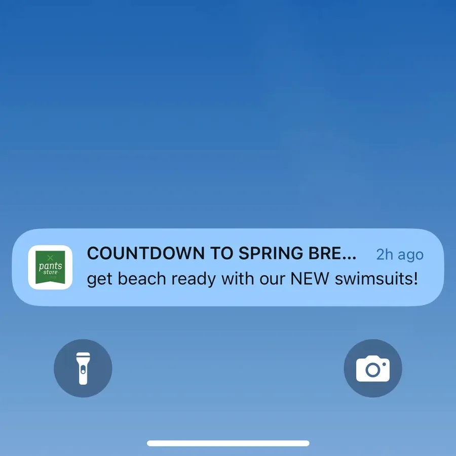 The Pants Store push notification: COUNTDOWN TO SPRING BRE.... get beach ready with our NEW swimsuits!