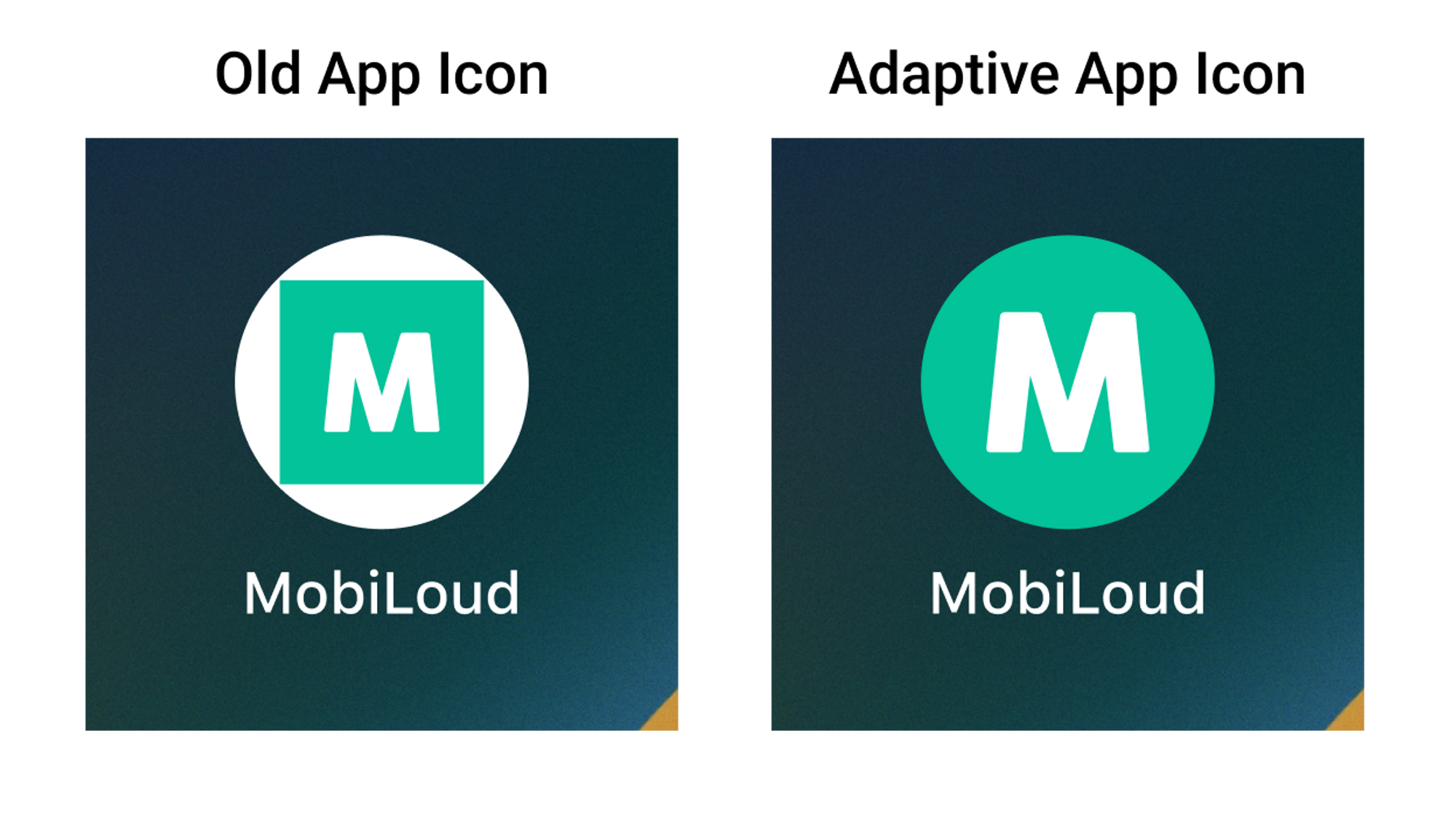 Notion Image