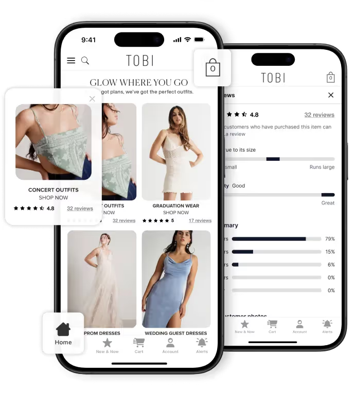 A JavaScript application running inside a mobile app